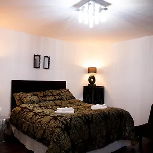 Apartment Exchange Downtown Ireland